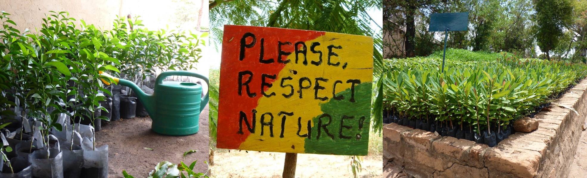 Freiwilligenarbeit in der Aufforstung in Tansania