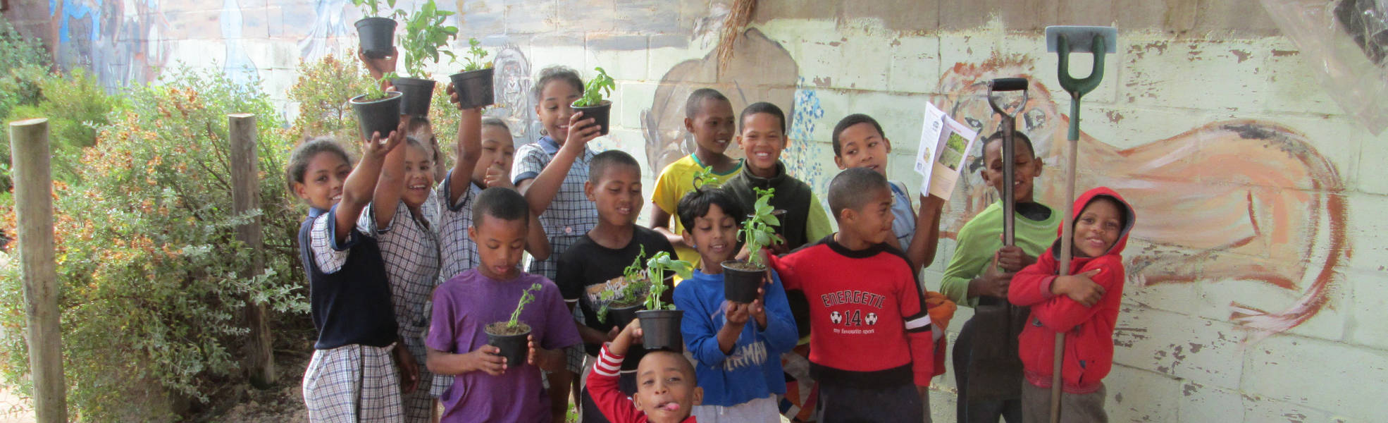 Farmarbeit in Südafrika