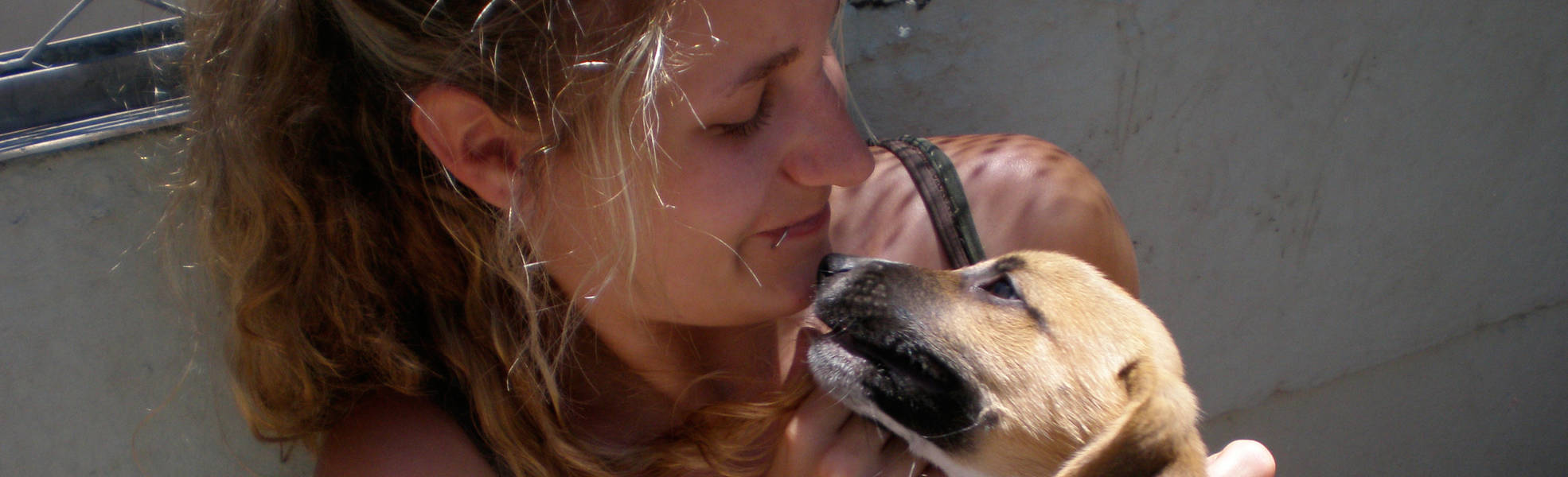 Freiwilligenarbeit im Tierschutz in Südafrika