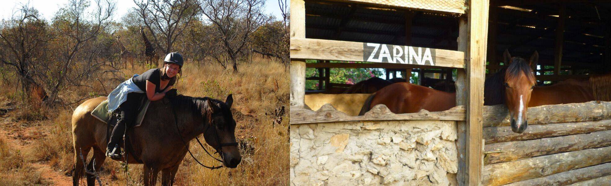Freiwilligenarbeit auf der Farm mit Pferden in Iringa