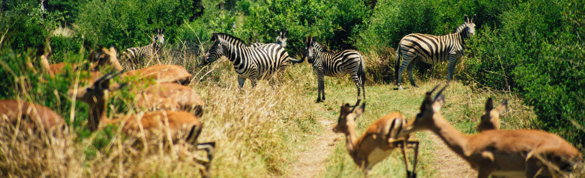 Sabbatical im Südafrikanischen Wildtierreservat