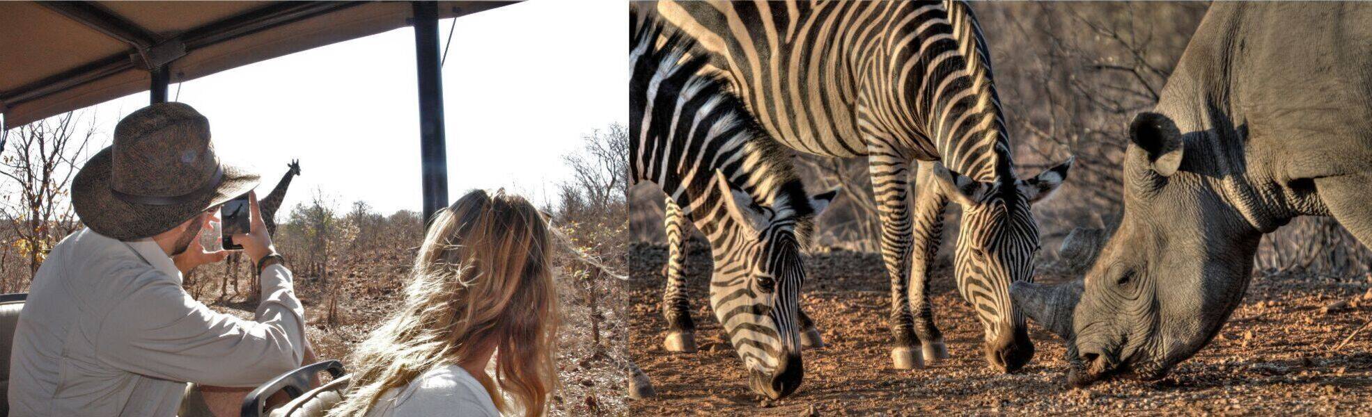 Wildlife Volunteer in Simbabwe