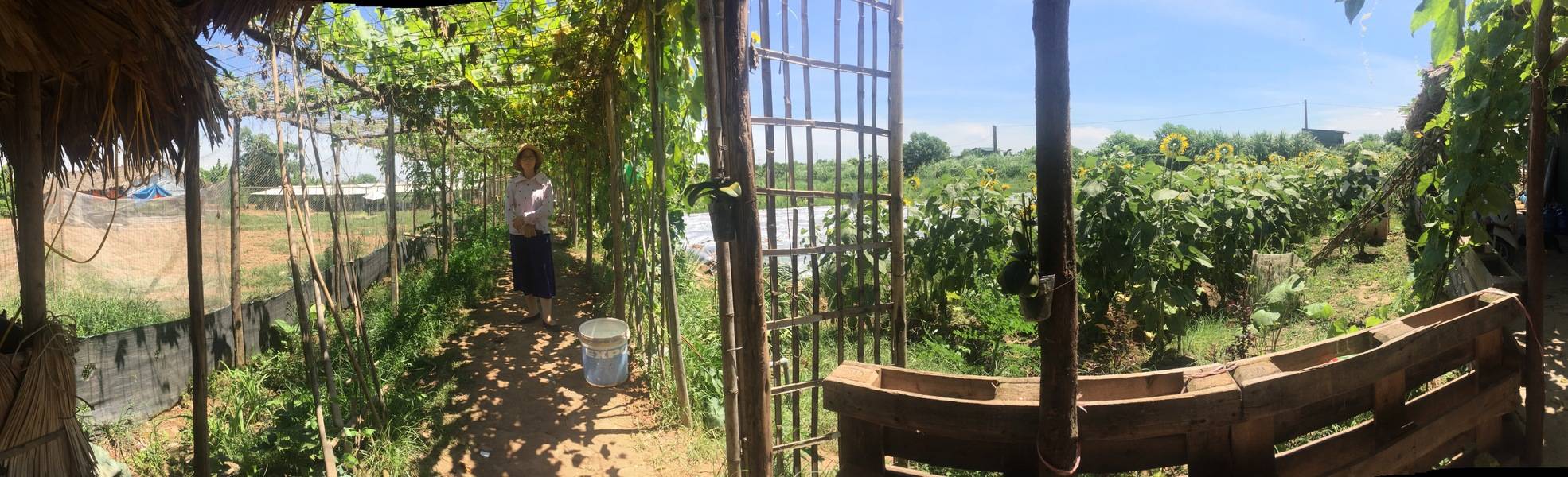 Farm Volunteer in Vietnam