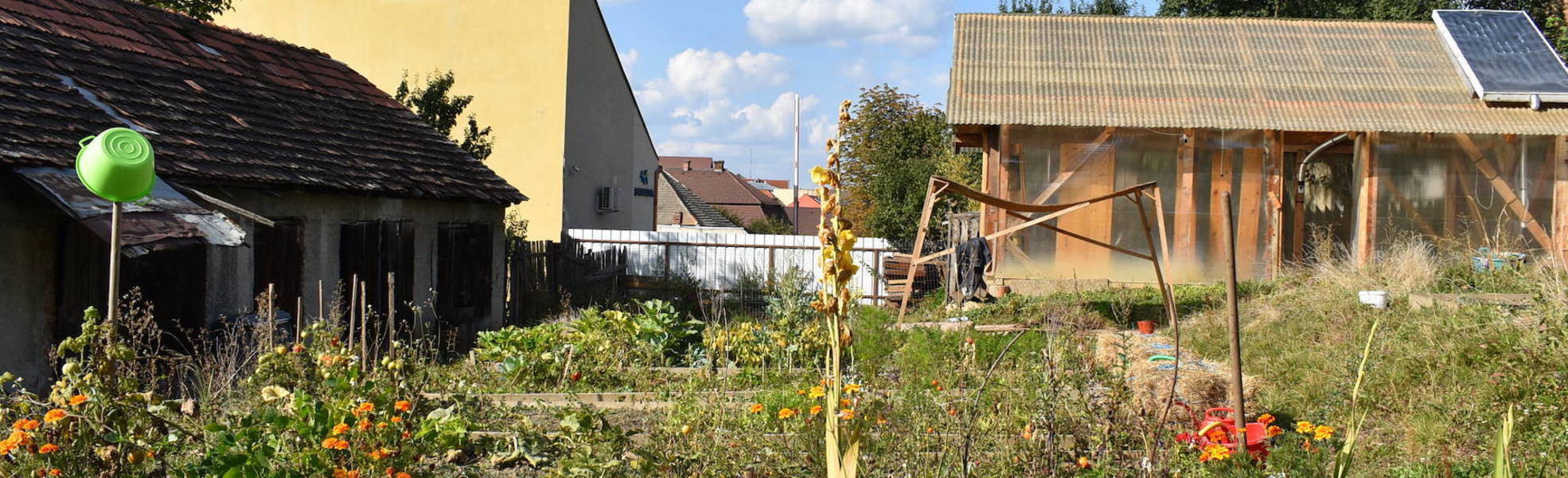 Freiwilligenarbeit im Landwirtschaftsprojekt in Rumänien