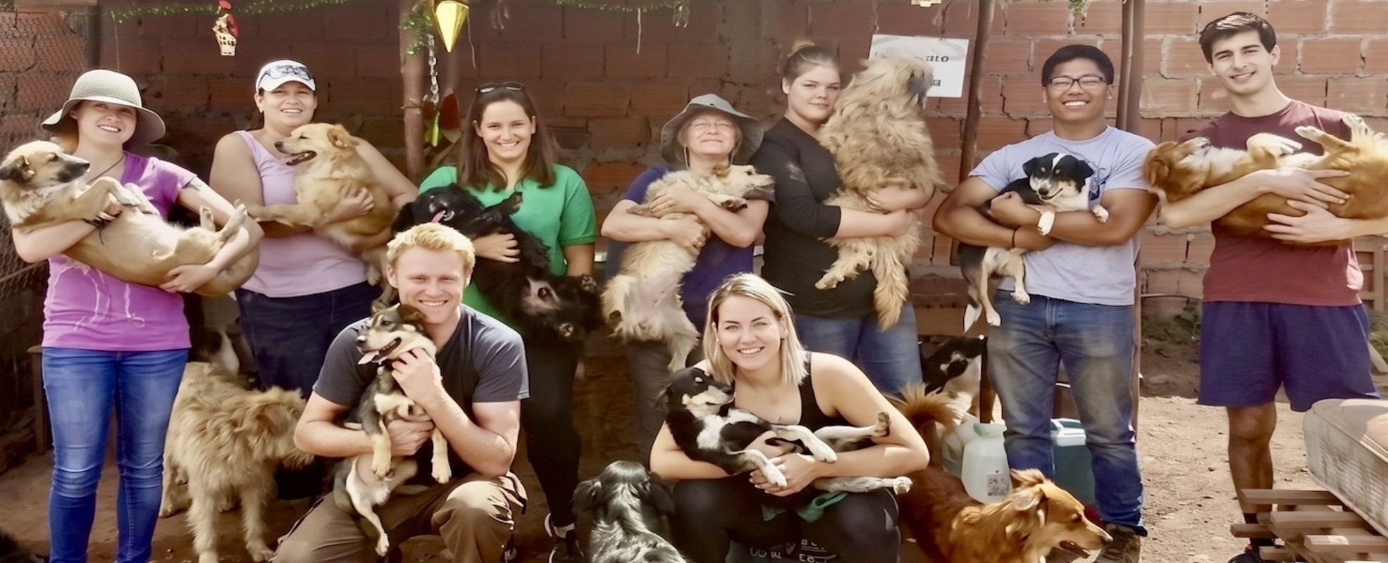 Freiwilligenarbeit im Hundeprojekt in Cusco, Peru