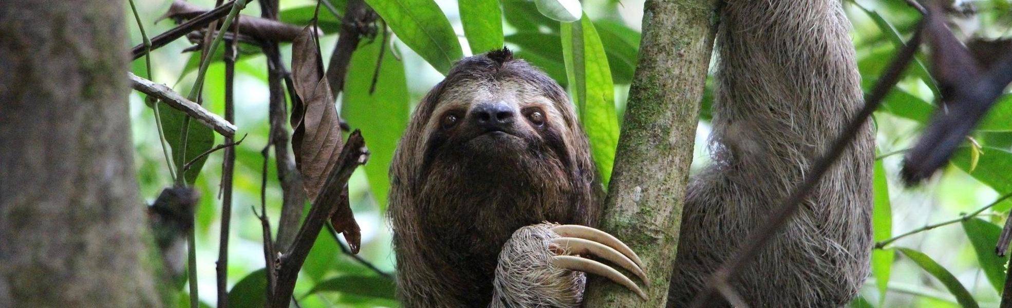 Alternatives Zoo-Projekt in Quito, Ecuador