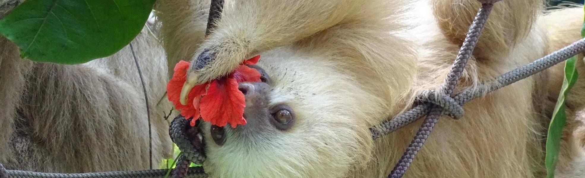 Tierstation Costa Rica