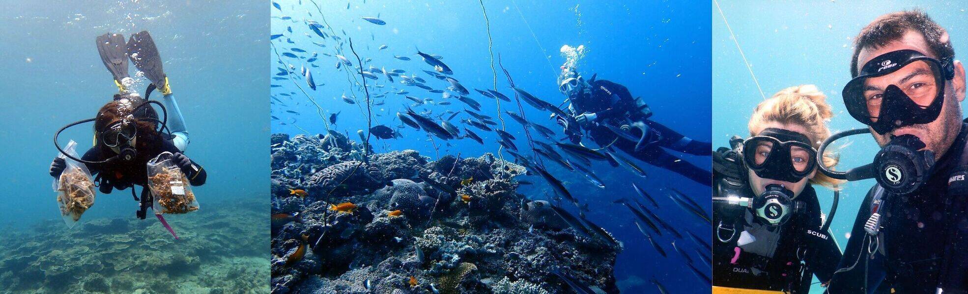 Korallen schützen in Mtwara, Tansania