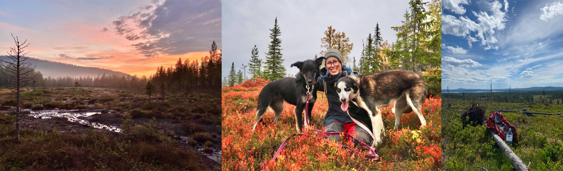 Freiwilligenprojekt Aufforstung in Schweden