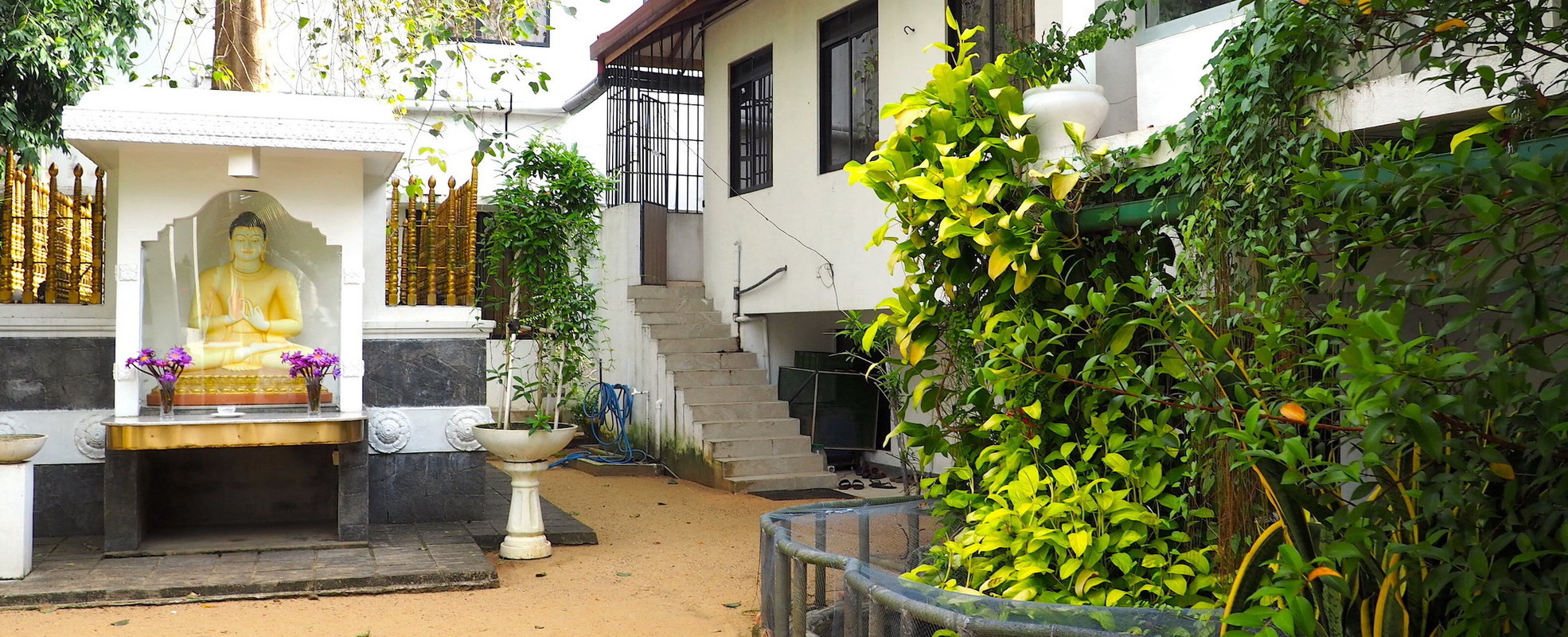Freiwilligenarbeit im Kloster auf Sri Lanka