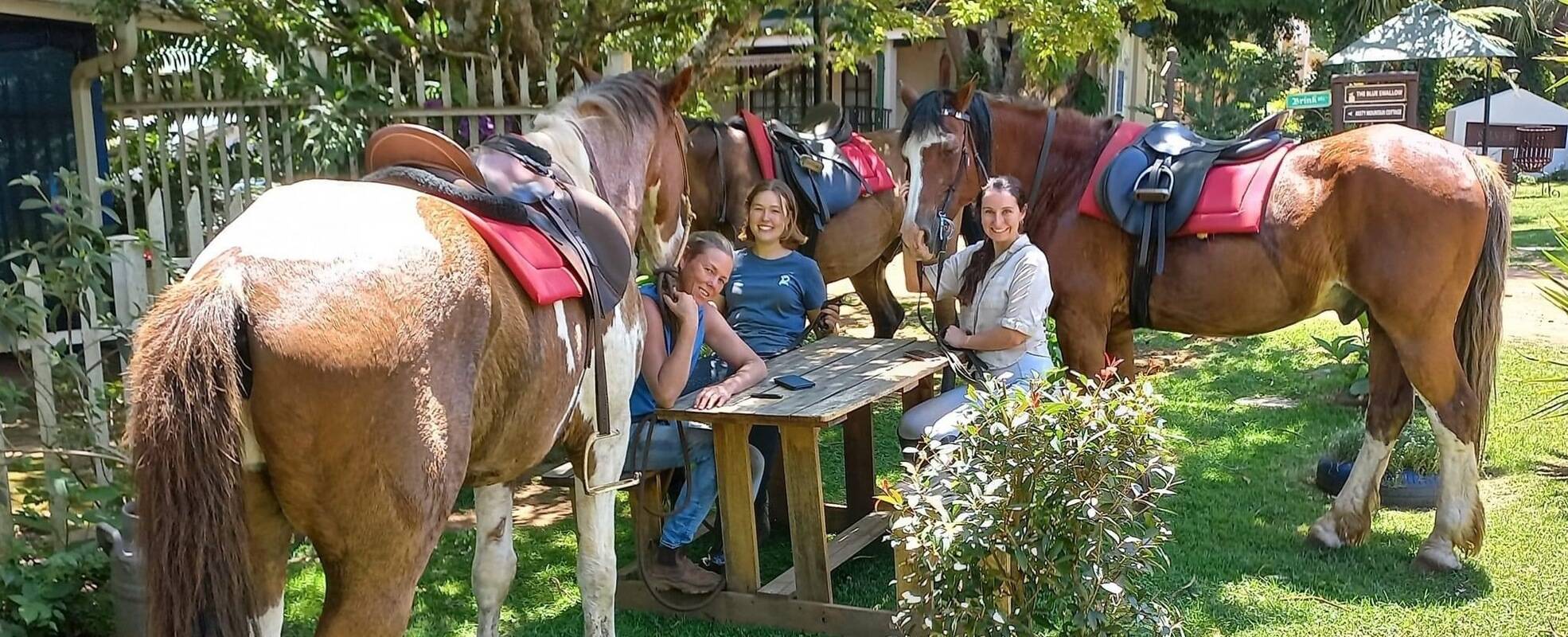 Freiwilligenarbeit auf einer Pferdefarm in Südafrika