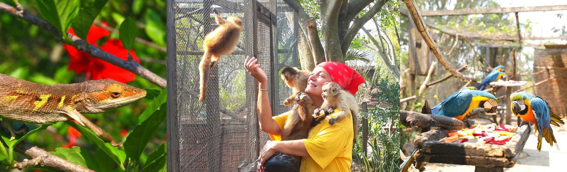 Wildtier-Rettungsstation in Bolivien