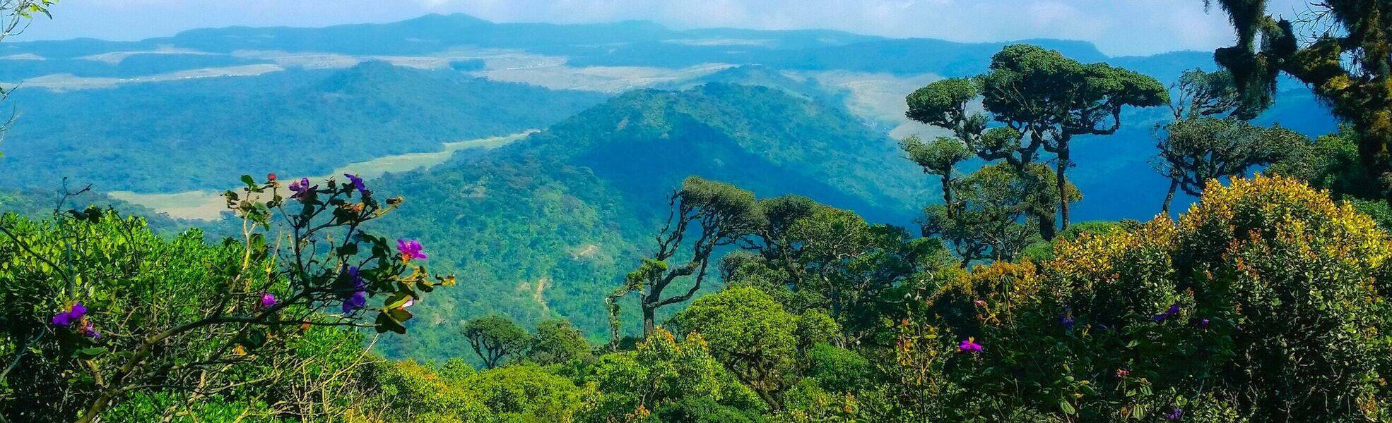 Trekking Tour in Sri Lanka