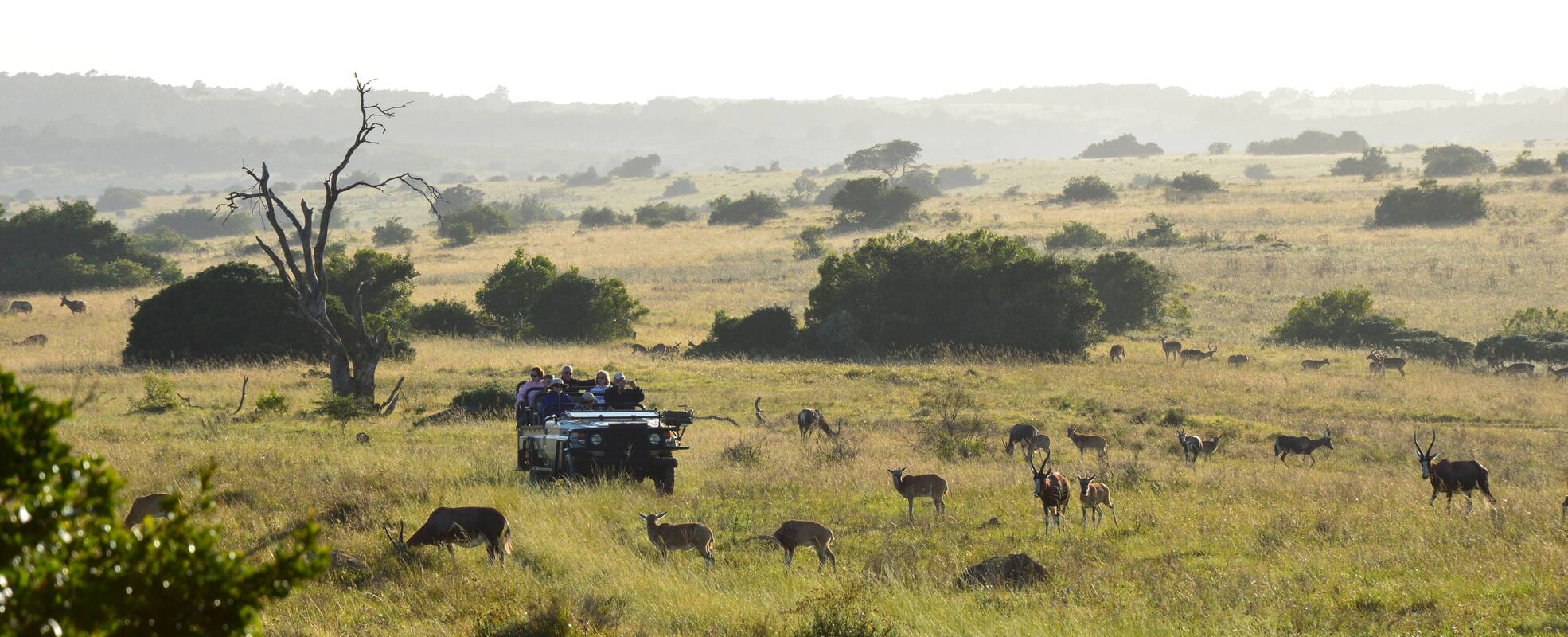 Südafrika Volunteer Reise - Garden Route