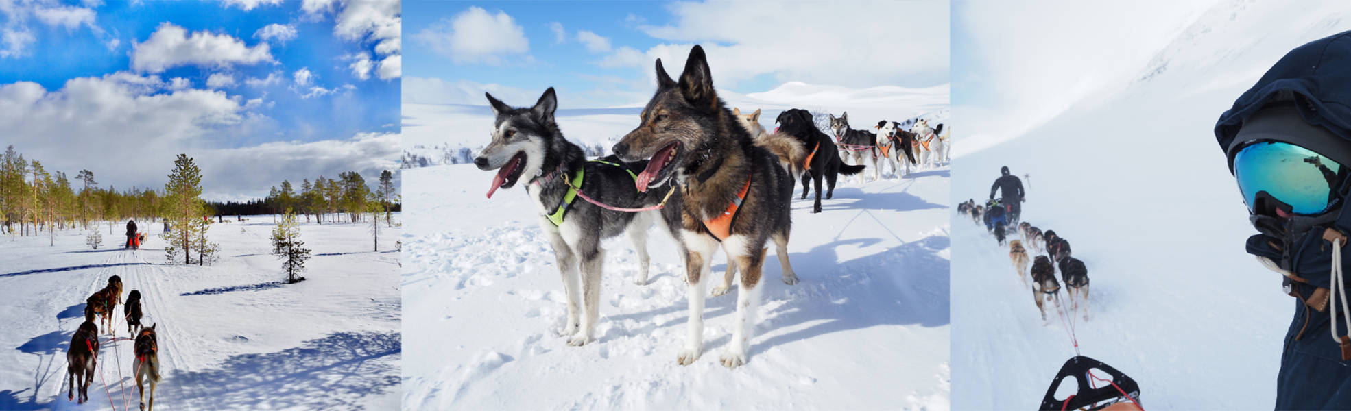 Winterreisen in Schwedisch Lappland