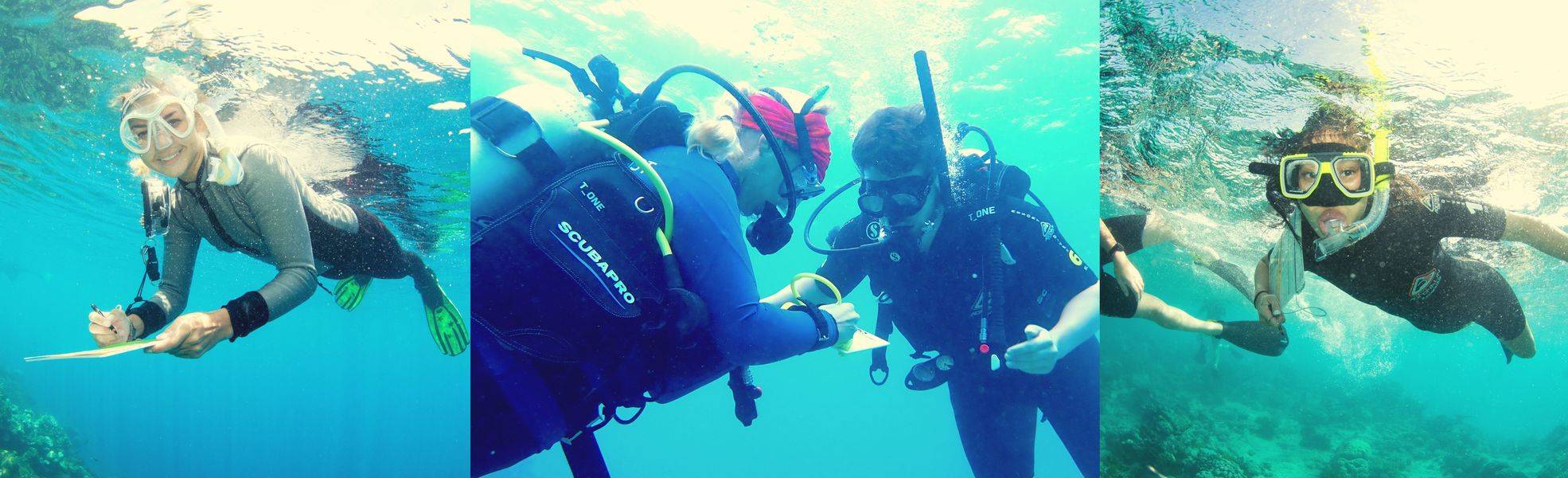 Volunteers im Korallenschutz Projekt Australien 