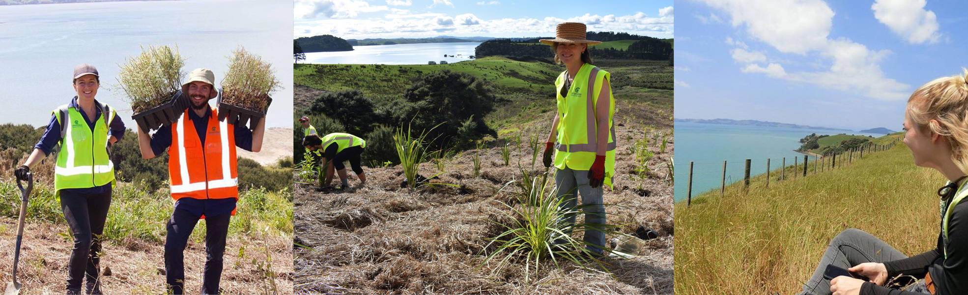 Conservation of wildlife in Auckland