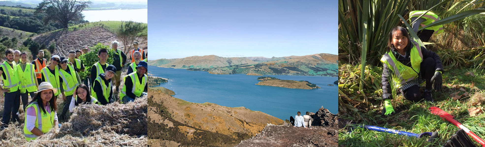 Umweltschutz in Christchurch