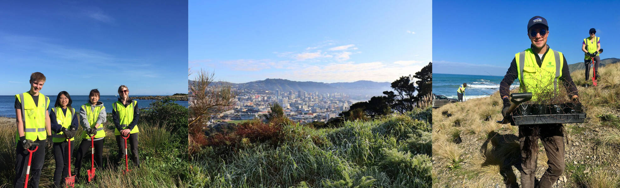 Naturschutz in Wellington