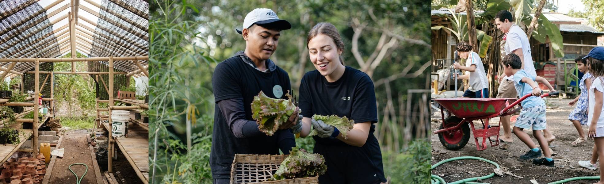 Permakultur Garten auf Bali