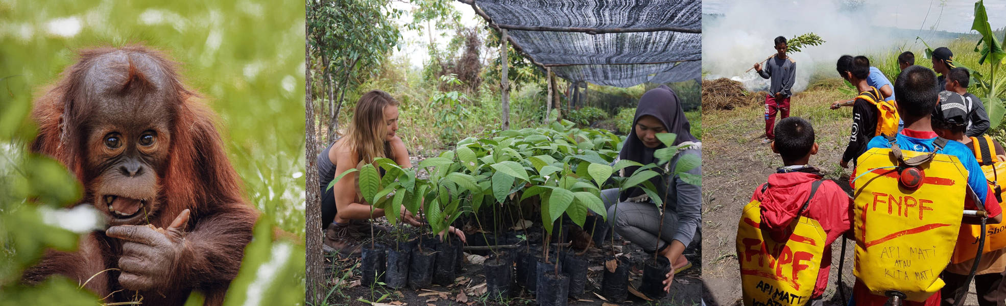 Naturschutz auf Borneo
