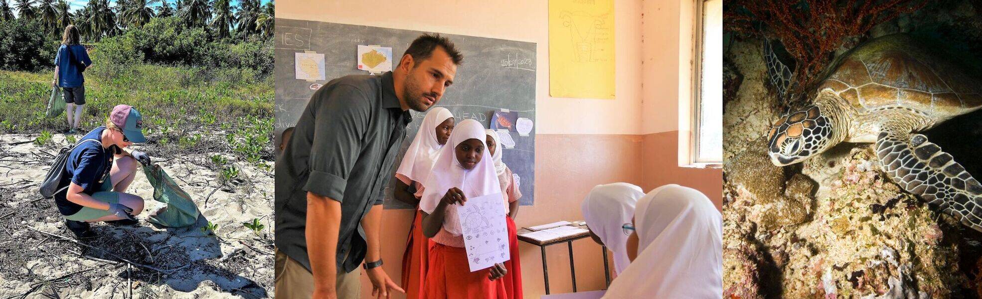 Schildkröten- und Meeresschutz in Tansania