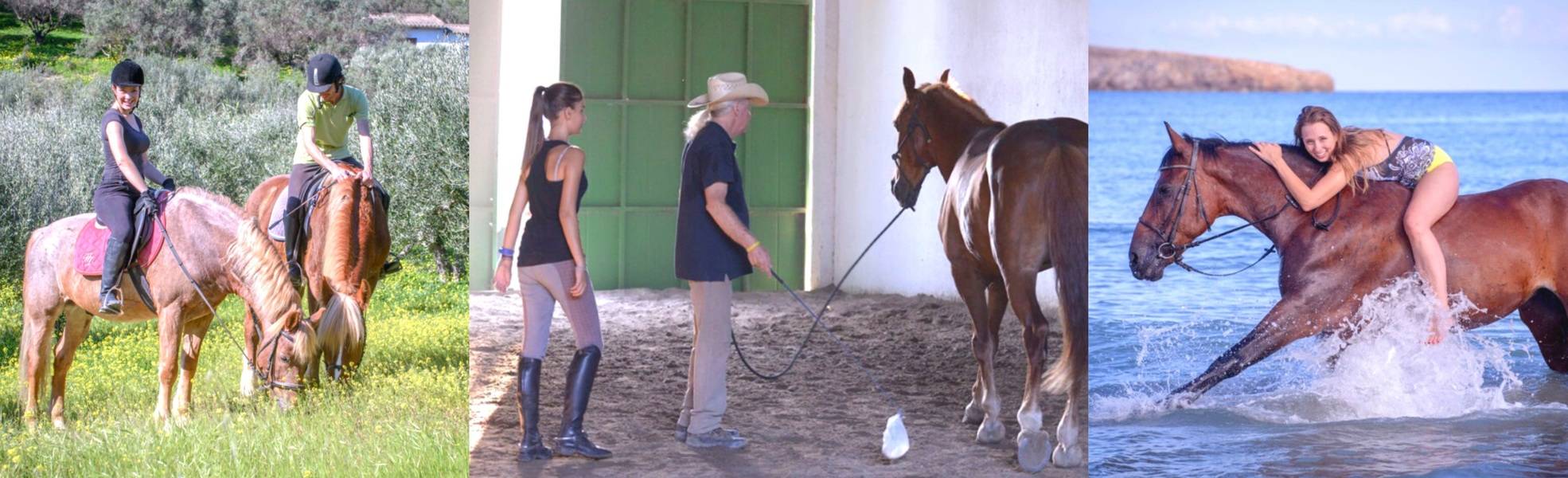 Horse Academy on Crete in Greece