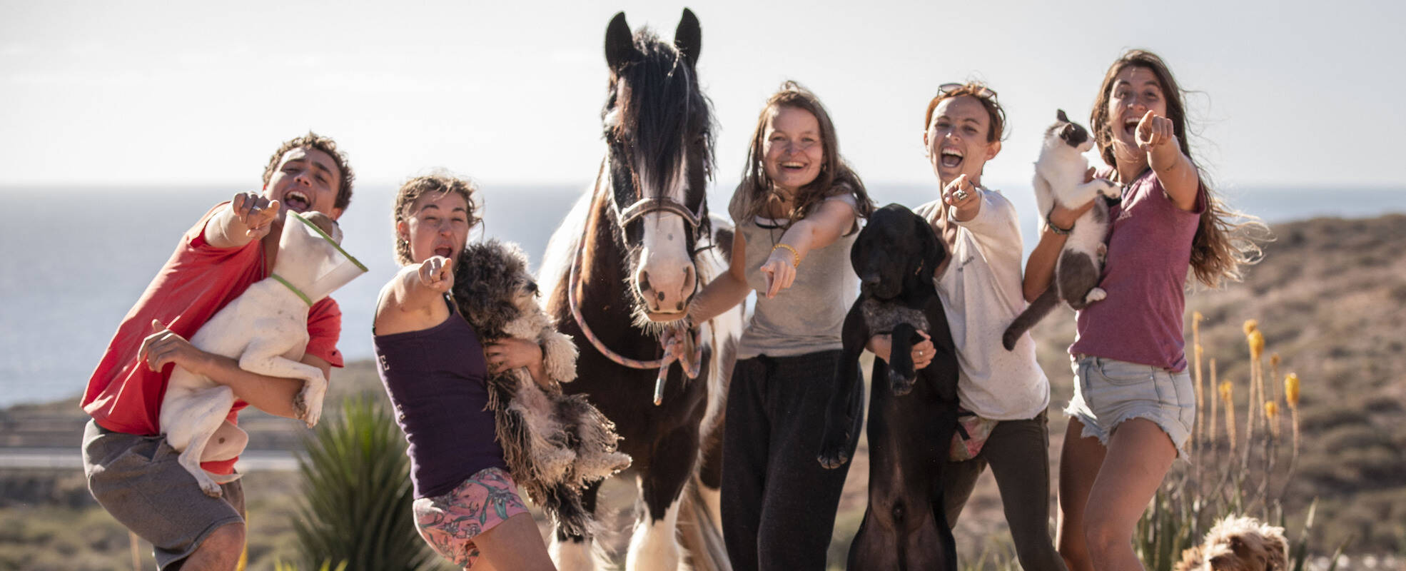 Freiwilligenarbeit im Tierschutz Projekt in Spanien, Teneriffa