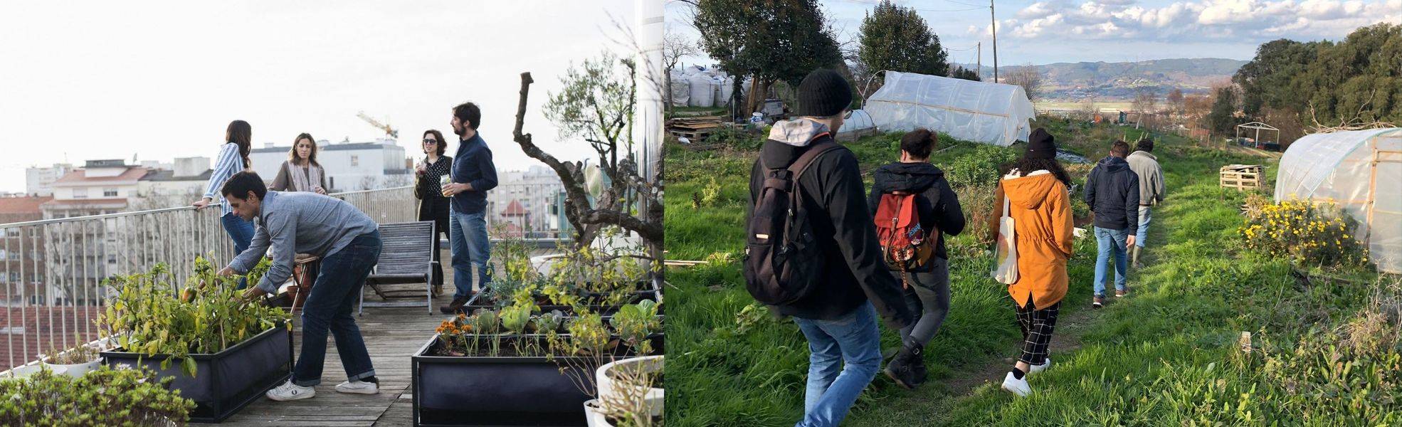 Volunteers in the permaculture garden project in Spain