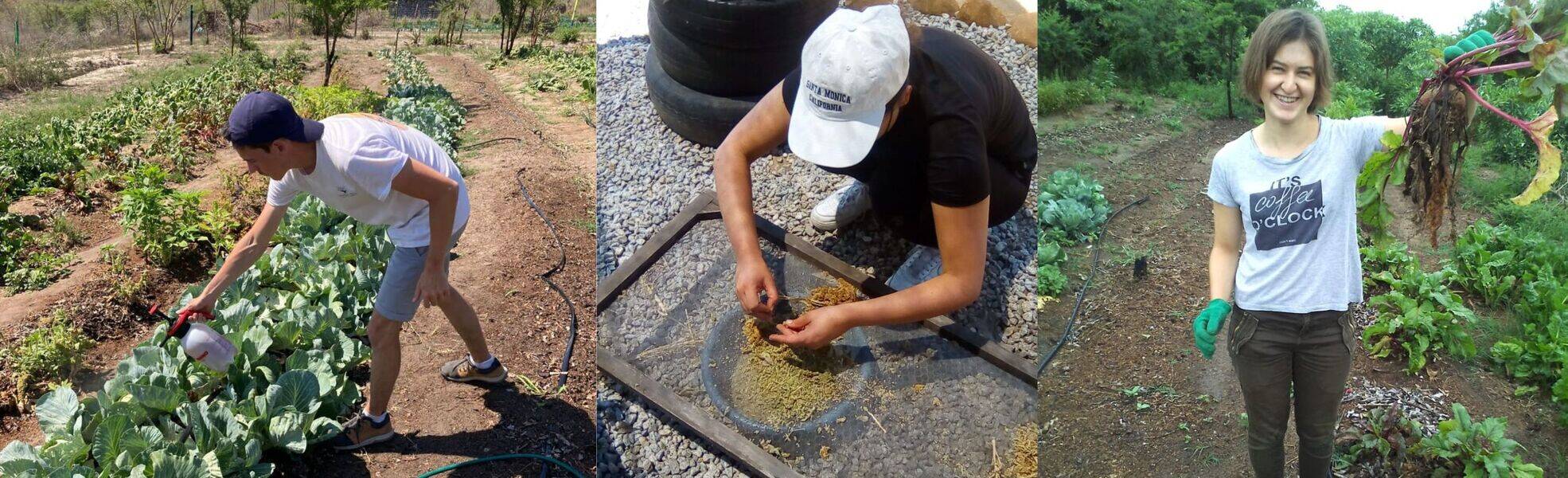 Freiwilligenarbeit im Umweltschutz in Südafrika