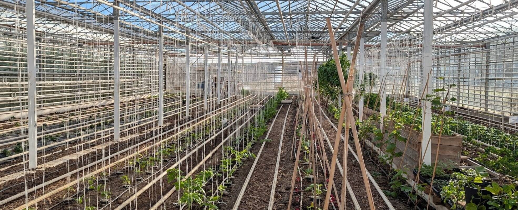 Freiwilligenarbeit im Eco Village in Island