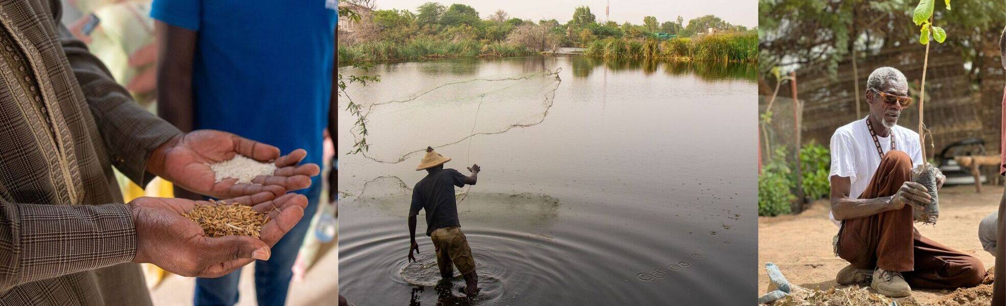 Freiwilligenarbeit in der ökologischen Landwirtschaft im Senegal