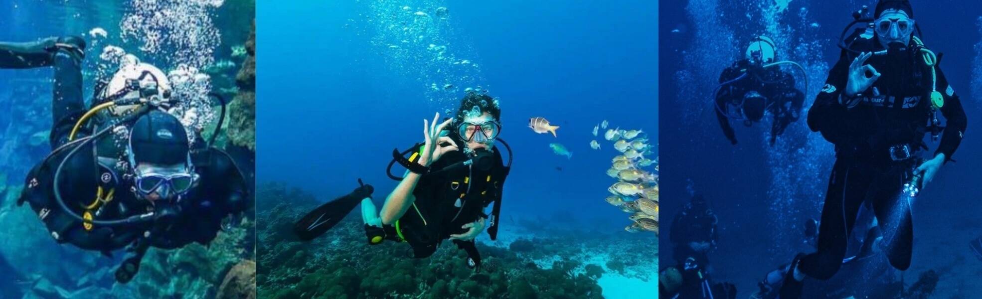 Freiwilligenarbeit im Meeresschutz in Barcelona