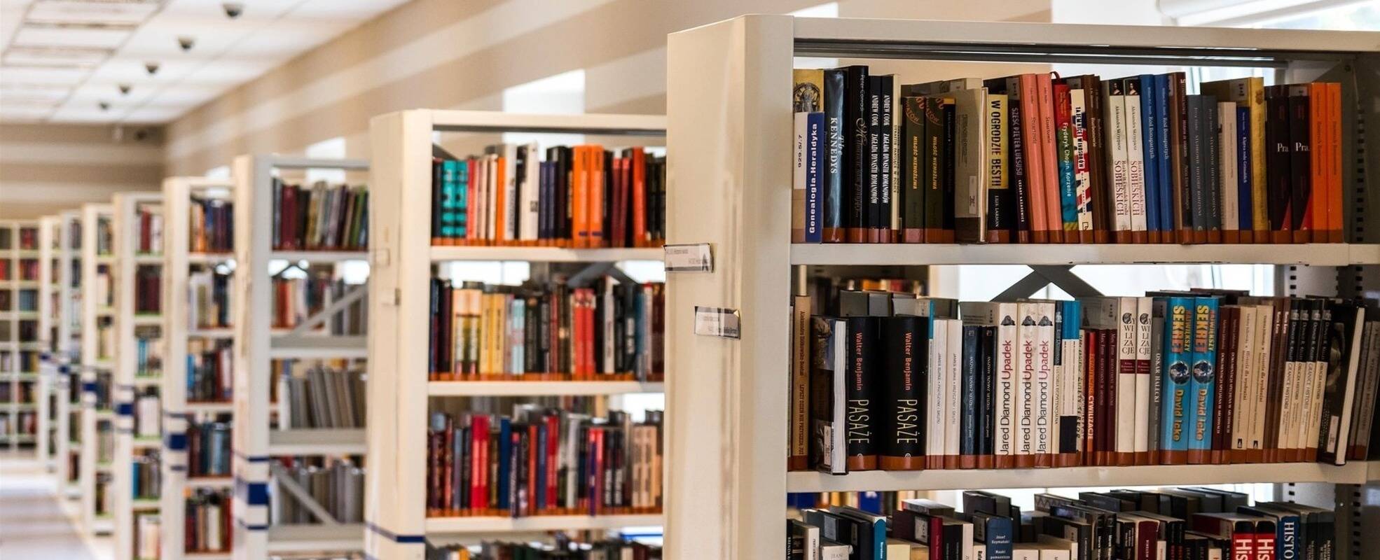 Bildungs-/Education Praktikum Irland