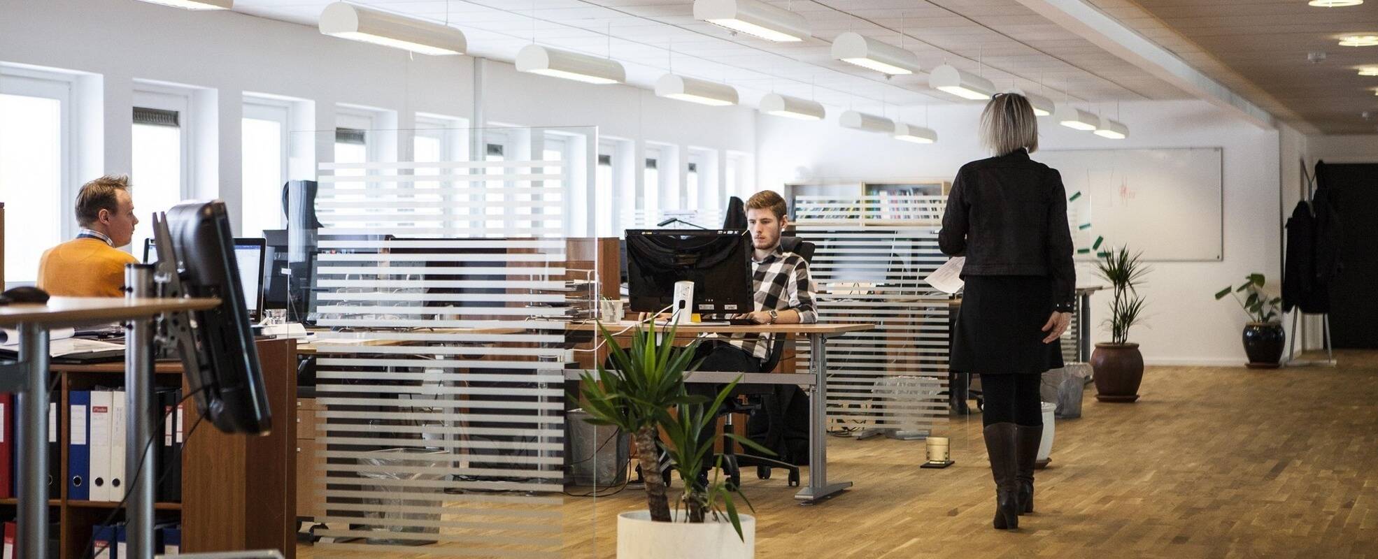 IT Praktikum in Irland