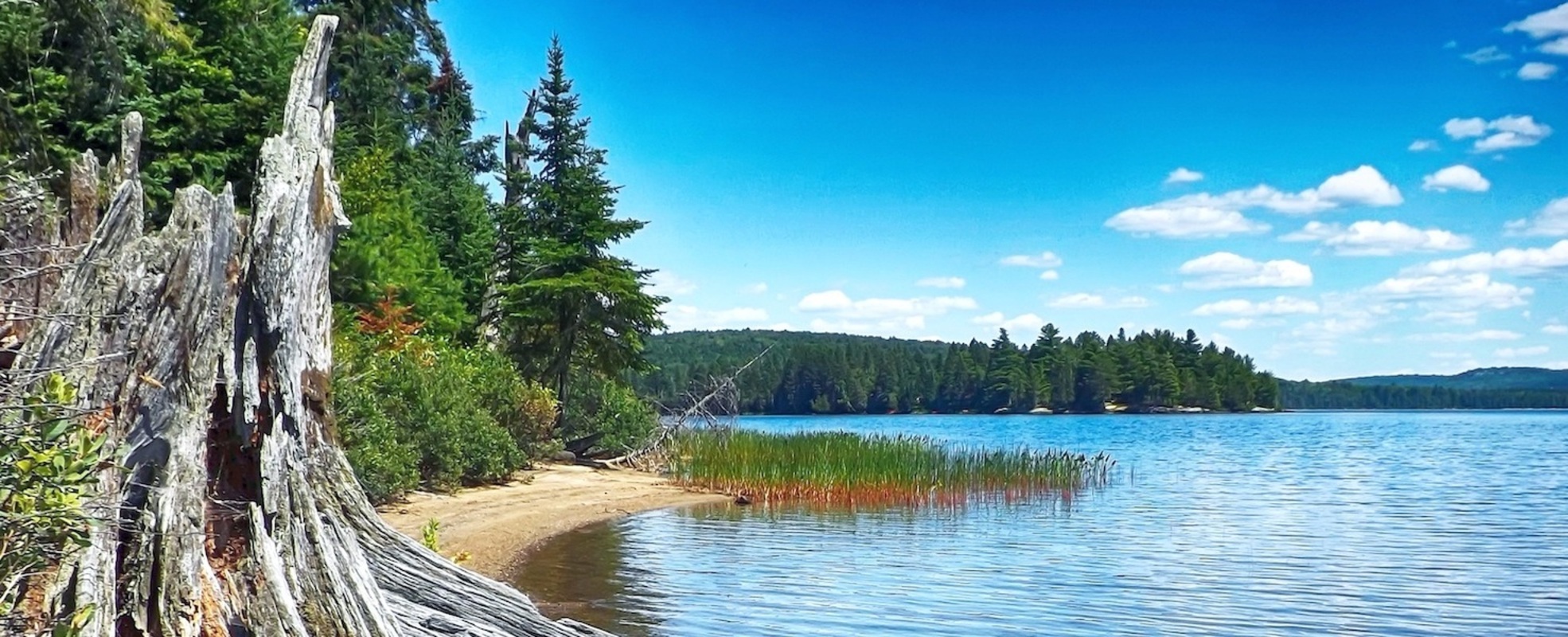 Freiwilligenarbeit in Kanada