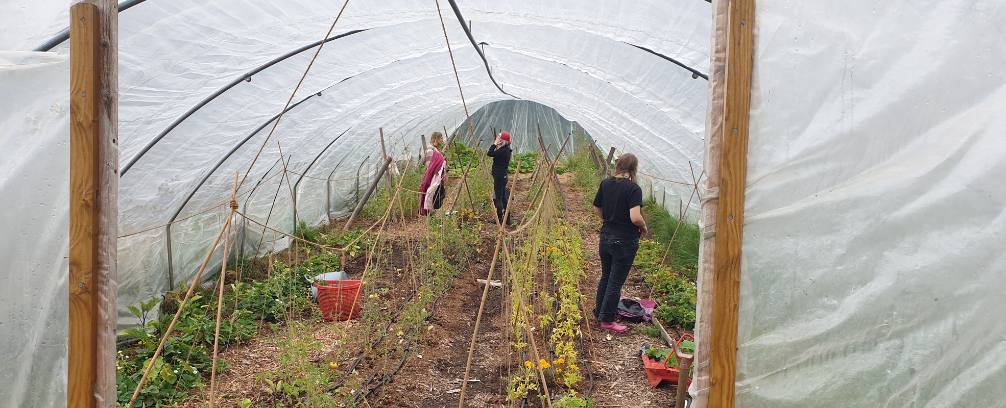 Farmprojekt in Schweden