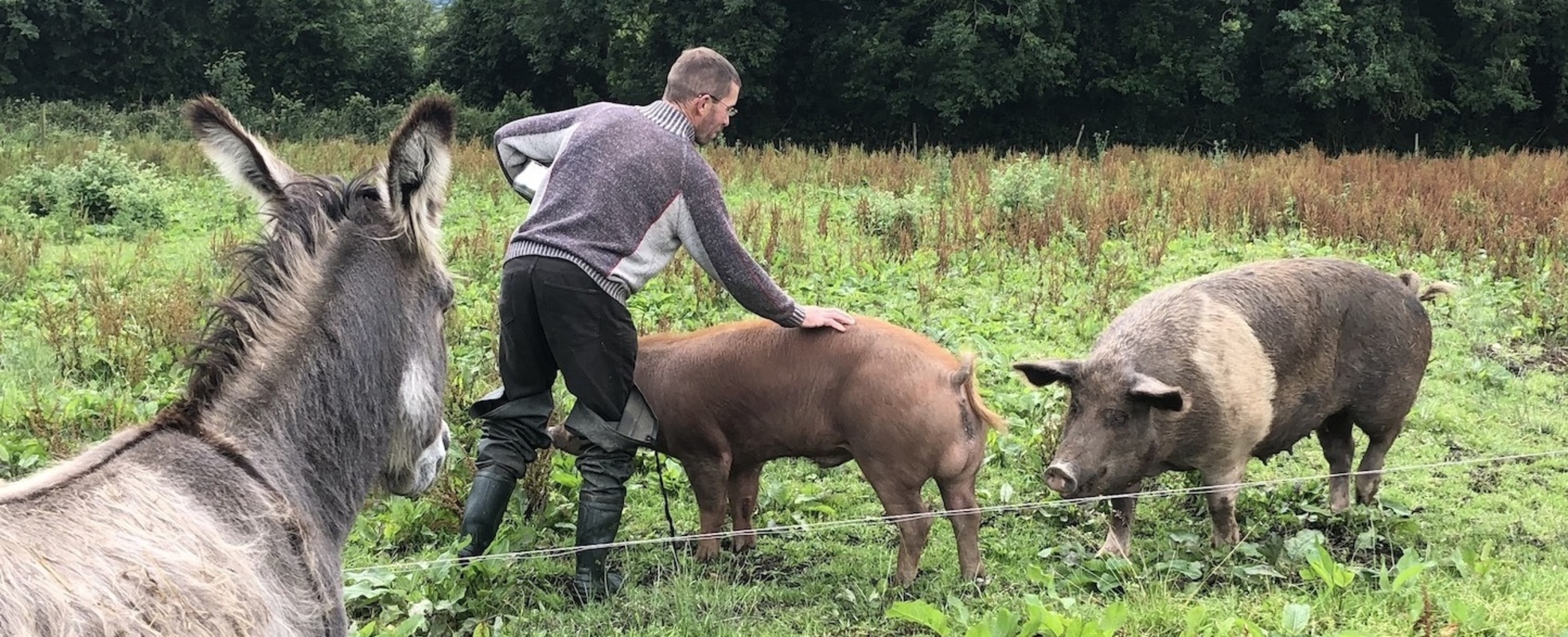 Bio-Farmarbeit in Irland