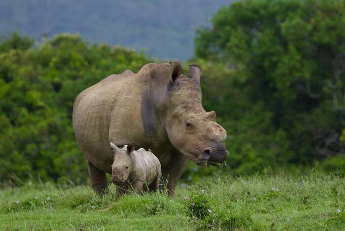 Naturreservat Südafrika