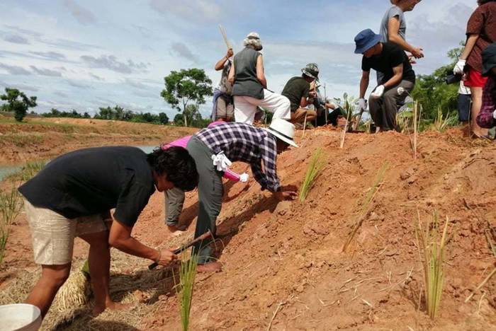 Freiwilligenarbeit Thailand Yoga