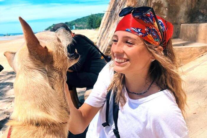 Volunteering mit Straßenhunden in Thailand