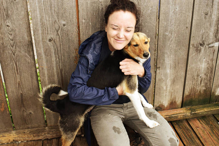 Rumänien Transsilvanien Hundeprojekt