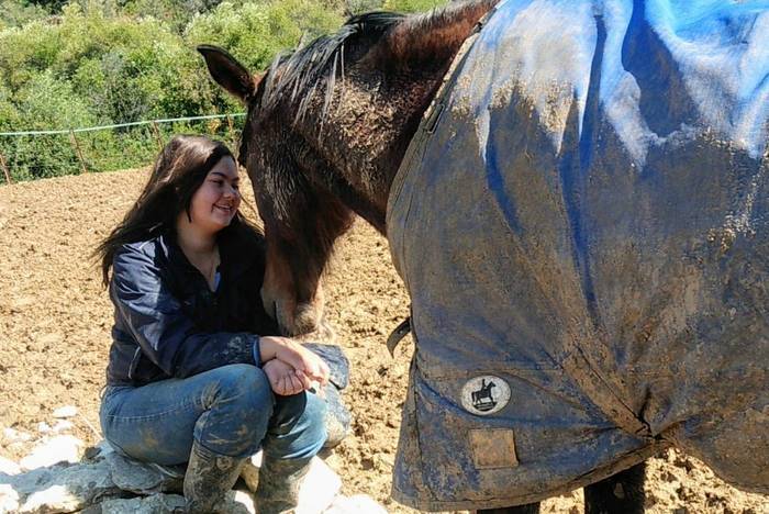 Volunteering in the horse project in Andalusia