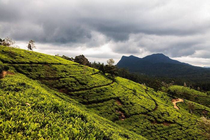 Sri Lanka Trekking Tour