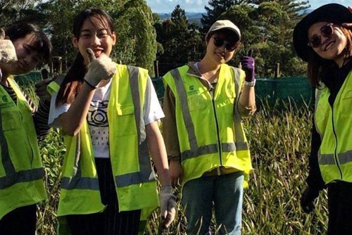 Volunteers in Neuseeland