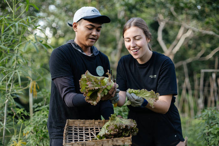 Permakultur Projekt auf Bali