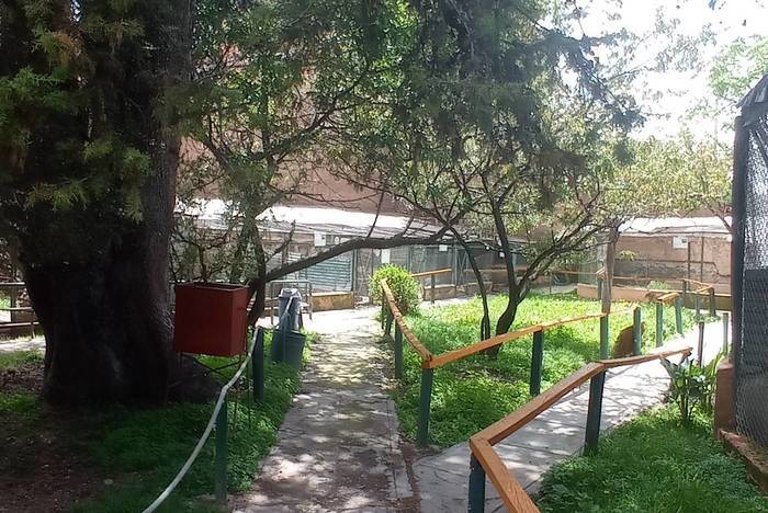 Tierauffangstation Cusco