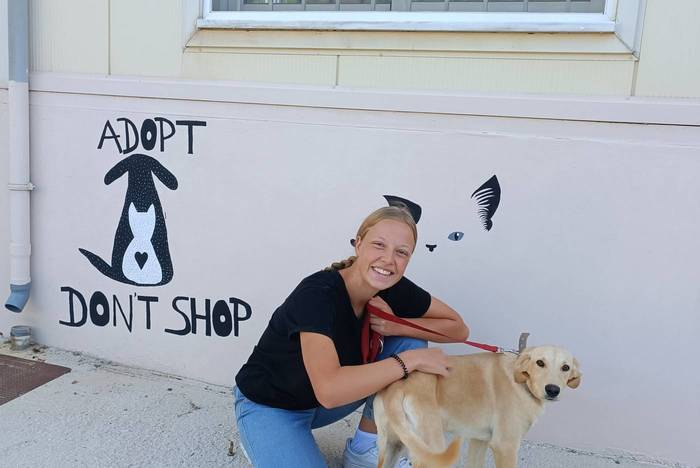 Auffangstation für Hunde