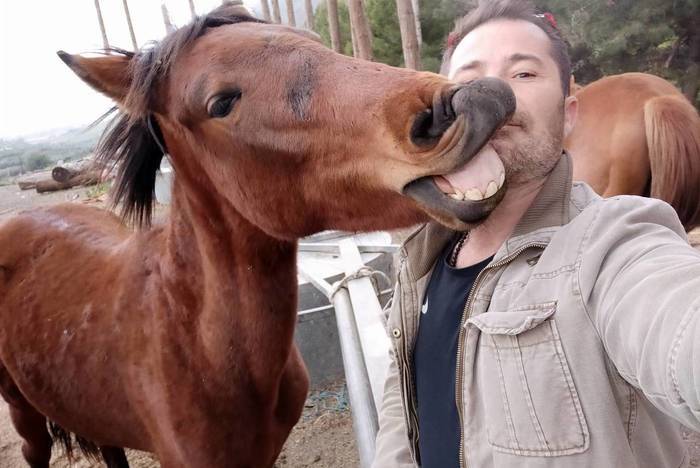 Pferdewohl-Projekt auf Kreta