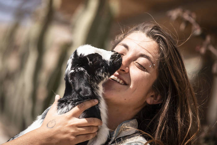 Freiwilligenarbeit im Tierschutz Projekt in Spanien, Teneriffa